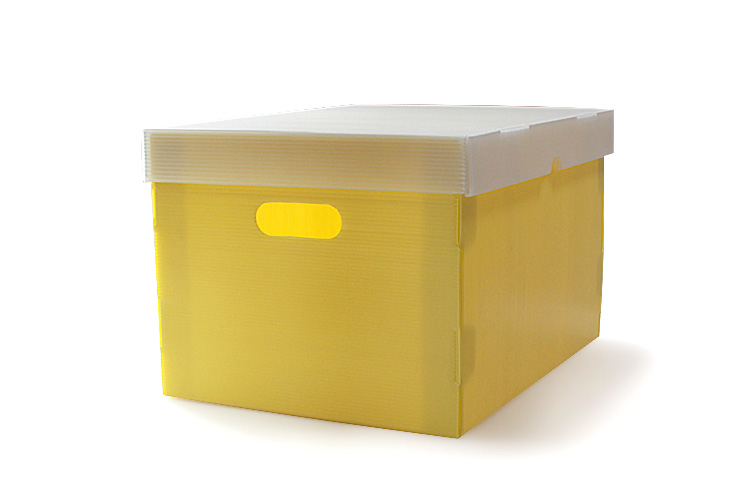 1526434359106794.jpg IMG_2811.jpg